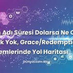 Alan Adı Süresi Dolarsa Ne Olur? Panik Yok, Grace/Redemption Dönemlerinde Yol Haritası