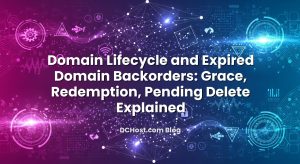 Domain Lifecycle and Expired Domain Backorders: Grace, Redemption, Pending Delete Explained