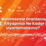 IPv6 Benimseme Oranlarındaki Artış: Altyapınızı Ne Kadar Hızlı Uyarlamalısınız?