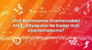 IPv6 Benimseme Oranlarındaki Artış: Altyapınızı Ne Kadar Hızlı Uyarlamalısınız?