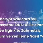 Let’s Encrypt Wildcard SSL Otomasyonu: DNS-01 ile cPanel, Plesk ve Nginx’te Zahmetsiz Kurulum ve Yenileme Nasıl Yapılır?