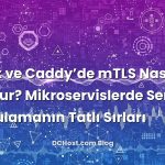 Nginx ve Caddy’de mTLS Nasıl Kurulur? Mikroservislerde Sertifika Doğrulamanın Tatlı Sırları