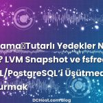 Uygulama‑Tutarlı Yedekler Nasıl Alınır? LVM Snapshot ve fsfreeze ile MySQL/PostgreSQL’i Üşütmeden Dondurmak