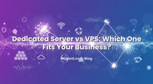 Dedicated Server vs VPS: Which One Fits Your Business?