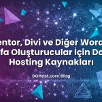 Elementor, Divi ve Diğer WordPress Sayfa Oluşturucular İçin Doğru Hosting Kaynakları konusunu açıklayan infografik