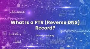 What Is a PTR (Reverse DNS) Record?