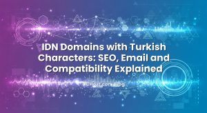 IDN Domains with Turkish Characters: SEO, Email and Compatibility Explained