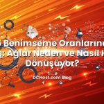 IPv6 Benimseme Oranlarındaki Artış: Ağlar Neden ve Nasıl Hızla Dönüşüyor?
