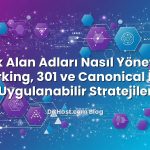 Park Alan Adları Nasıl Yönetilir? Parking, 301 ve Canonical İçin Uygulanabilir Stratejiler hakkında bilgilendirici g...