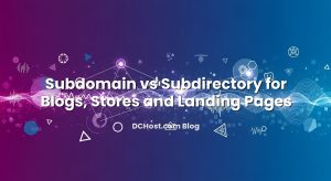 Subdomain vs Subdirectory for Blogs, Stores and Landing Pages