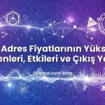 IPv4 Adres Fiyatlarının Yükselişi: Nedenleri, Etkileri ve Çıkış Yolları