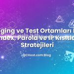 Staging ve Test Ortamları İçin Noindex, Parola ve IP Kısıtlama Stratejileri