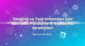 Staging ve Test Ortamları İçin Noindex, Parola ve IP Kısıtlama Stratejileri