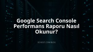 Google Search Console Performans Raporu Nasıl Okunur?