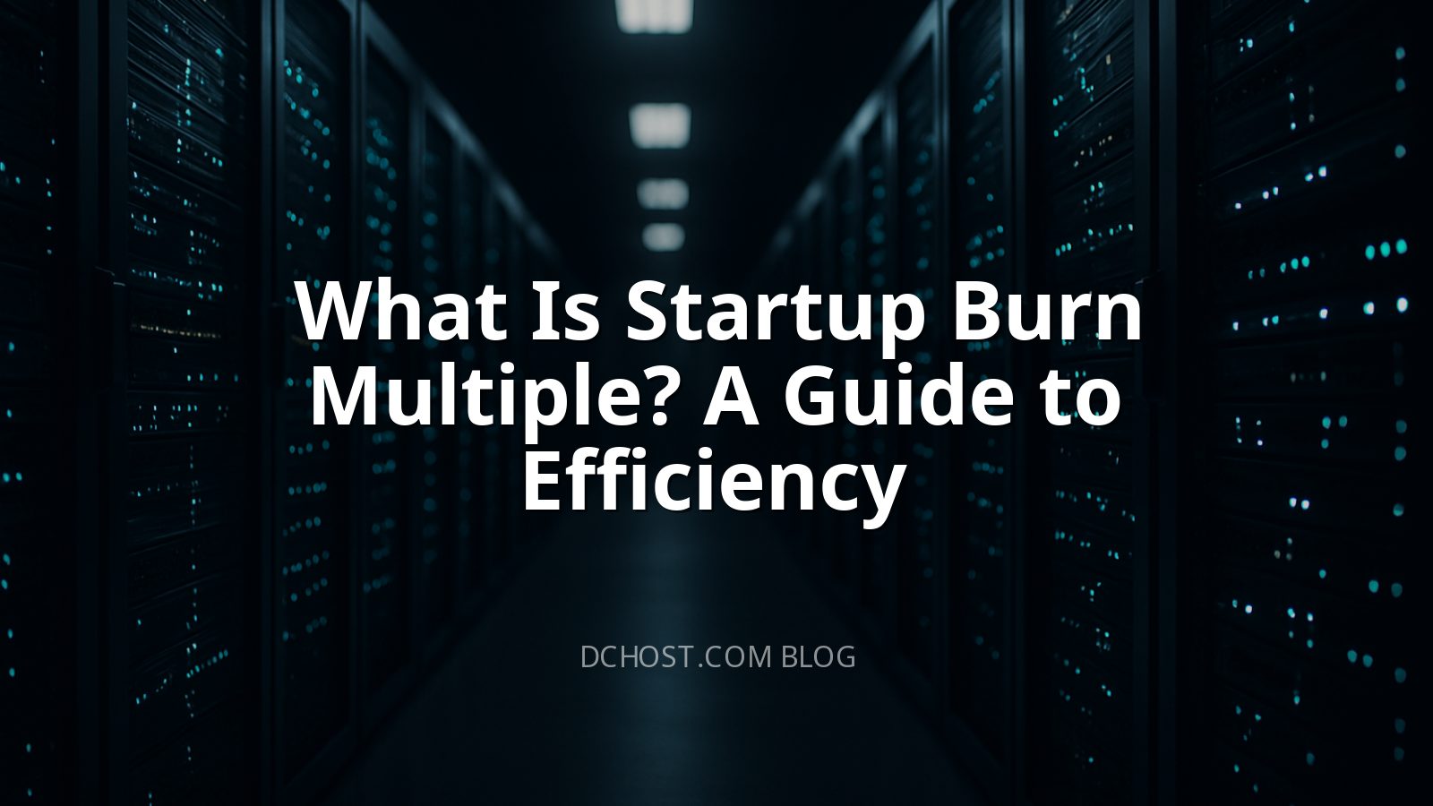 What Is Startup Burn Multiple? A Guide to Efficiency