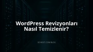 WordPress Revizyonları Nasıl Temizlenir?