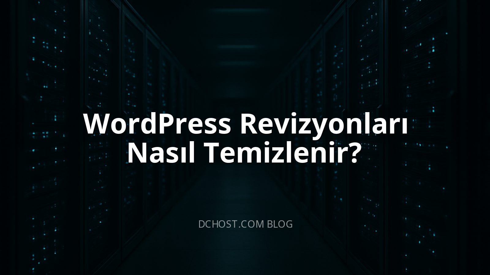 WordPress Revizyonları Nasıl Temizlenir?